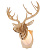 Бра Favourite 2009-1W Cervus